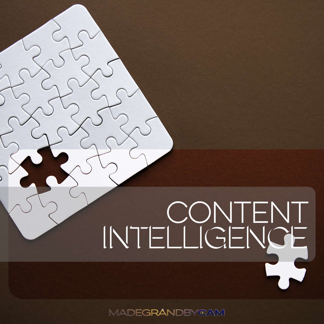 CONTENT INTELLIGENCE FOR AUDIT AND ANALYSIS